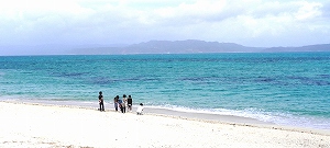 20121010 okinawa (17).jpg